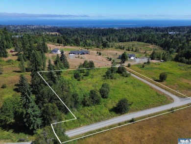 Beach Acreage Active Under Contract in Port Angeles, Washington