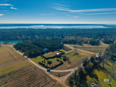 Beach Acreage For Sale in Fairhope, Alabama