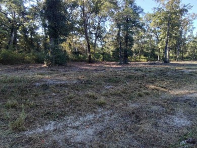 Beach Acreage For Sale in Crawfordville, Florida