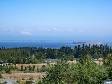 Beach Lot For Sale in Sequim, Washington
