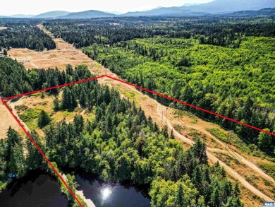Beach Acreage For Sale in Port Angeles, Washington