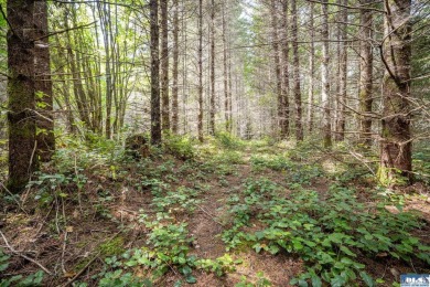 Beach Acreage For Sale in Port Angeles, Washington