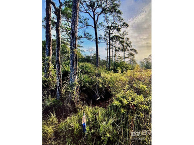 Beach Lot For Sale in Gulf Shores, Alabama