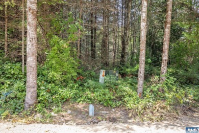 Beach Acreage For Sale in Port Angeles, Washington