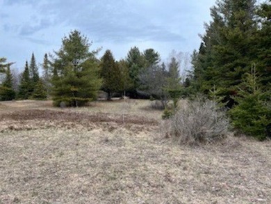 Beach Acreage For Sale in Sturgeon Bay, Wisconsin