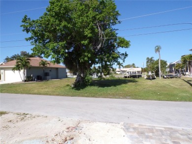 Beach Lot For Sale in Punta Gorda, Florida