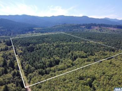 Beach Acreage For Sale in Port Angeles, Washington