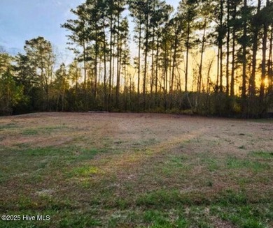 Beach Lot For Sale in Oriental, North Carolina