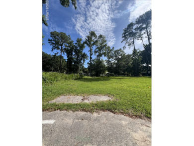 Beach Lot Active Under Contract in Bluffton, South Carolina