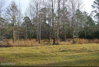 Beach Lot Active Under Contract in Beaufort, North Carolina