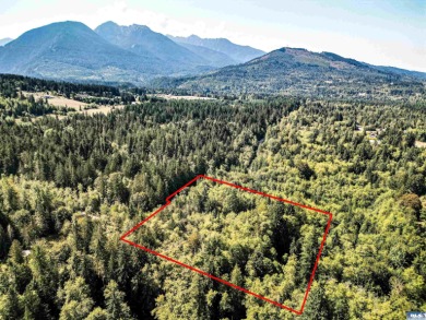 Beach Acreage For Sale in Port Angeles, Washington