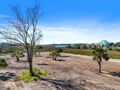 Beach Acreage For Sale in Steinhatchee, Florida
