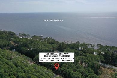 Beach Lot For Sale in Carabelle, Florida