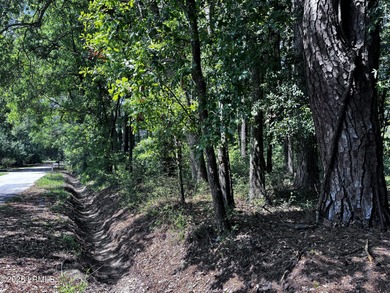 Beach Lot For Sale in Beaufort, South Carolina