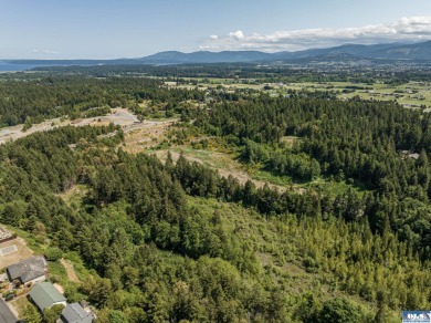 Beach Acreage For Sale in Sequim, Washington