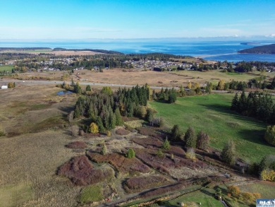 Beach Acreage For Sale in Sequim, Washington