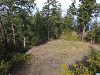 Beach Acreage For Sale in Sequim, Washington