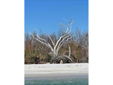 Beach Lot For Sale in Cayo Costa, Florida