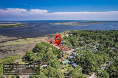 Beach Lot For Sale in Panacea, Florida