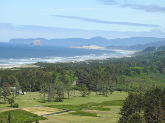 Beach Lot Off Market in Neskowin, Oregon