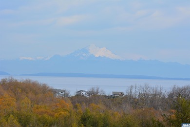 Beach Lot For Sale in Sequim, Washington