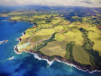 Beach Acreage Off Market in Haiku, Hawaii