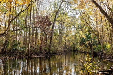 Beach Acreage For Sale in Gulf Hammock, Florida