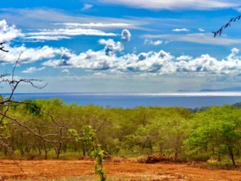 Beach Acreage Off Market in Maunaloa, Hawaii