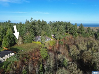 Beach Acreage For Sale in Port Angeles, Washington