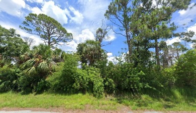 Beach Lot For Sale in Port Charlotte, Florida