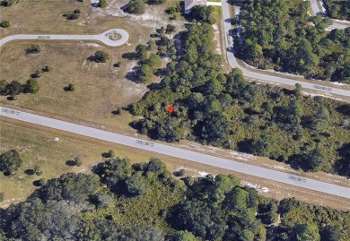 Beach Lot For Sale in Placida, Florida