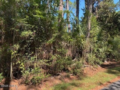 Beach Lot For Sale in Harbor Island, South Carolina