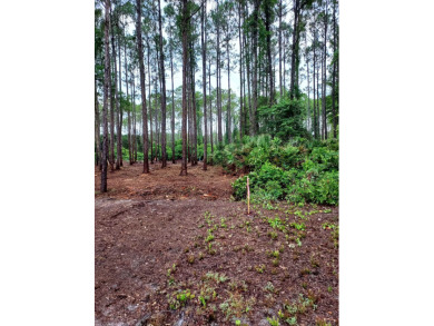 Beach Lot For Sale in Carabelle, Florida