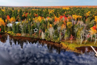 Beach Acreage For Sale in Lake Linden, Michigan