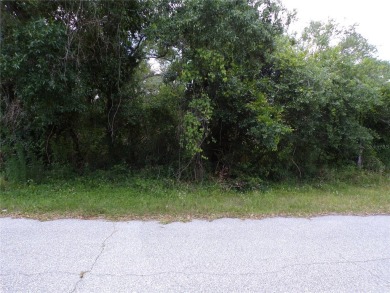 Beach Lot For Sale in North Port, Florida