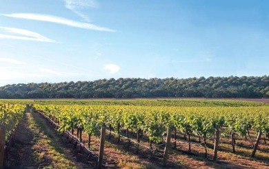 Beach Acreage For Sale in Cape May Court House, New Jersey