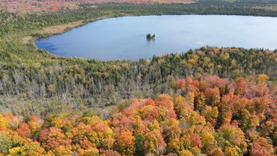 Beach Acreage Active Under Contract in Gulliver, Michigan