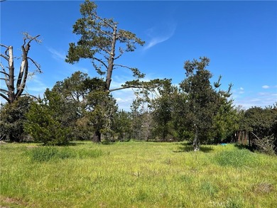 Beach Lot For Sale in Cambria, California
