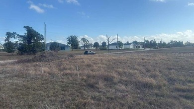 Beach Lot For Sale in Placida, Florida