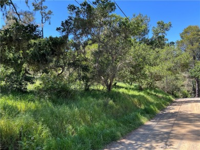 Beach Lot For Sale in Cambria, California