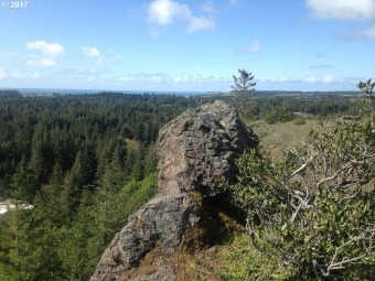 Beach Commercial Off Market in Port Orford, Oregon