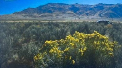 Beach Acreage For Sale in Reno, Nevada