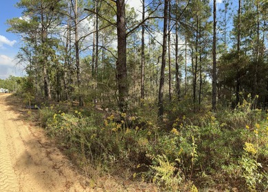 Beach Lot Sale Pending in Defuniak Springs, Florida