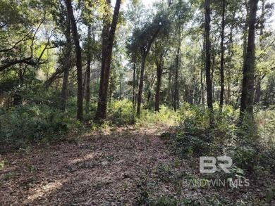 Beach Acreage For Sale in Foley, Alabama