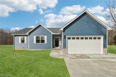 Beach Home For Sale in Geneva, Ohio