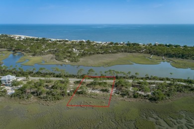 Beach Lot For Sale in Alligator Point, Florida