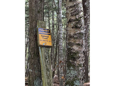 Beach Acreage For Sale in Rapid River, Michigan