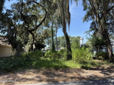 Beach Lot For Sale in Saint Helena Island, South Carolina