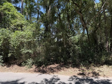 Beach Lot For Sale in Saint Helena Island, South Carolina