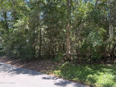 Beach Lot For Sale in Saint Helena Island, South Carolina